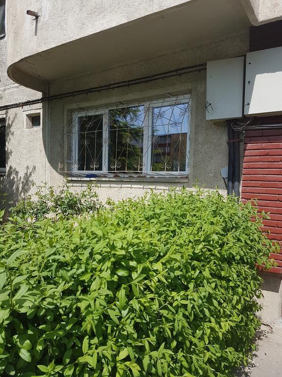 Apartamente Marian Braşov Quarto foto